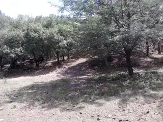 Venta Lote – Ruta 9 30500 – El Trapiche – San Luis foto 4