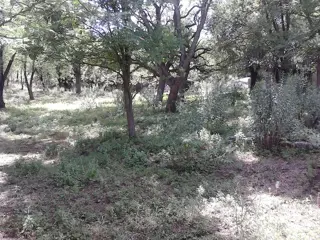 Venta Lote – Ruta 9 30500 – El Trapiche – San Luis foto 5