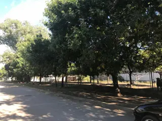 Terreno + Terreno y Local - Colectora Ruta 11 km5 (altura Puerto San Martín) foto 4