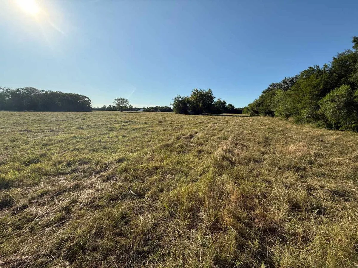 Venta terreno /campo en el cazador apto desarrollo foto 2