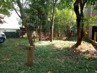 Terreno Venta Panambí Misiones 490m2 A 100m Del Río Uruguay foto 2