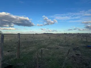 Excelente fracción de 41 hectáreas en Hornos: Entorno natural y gran potencial foto 3
