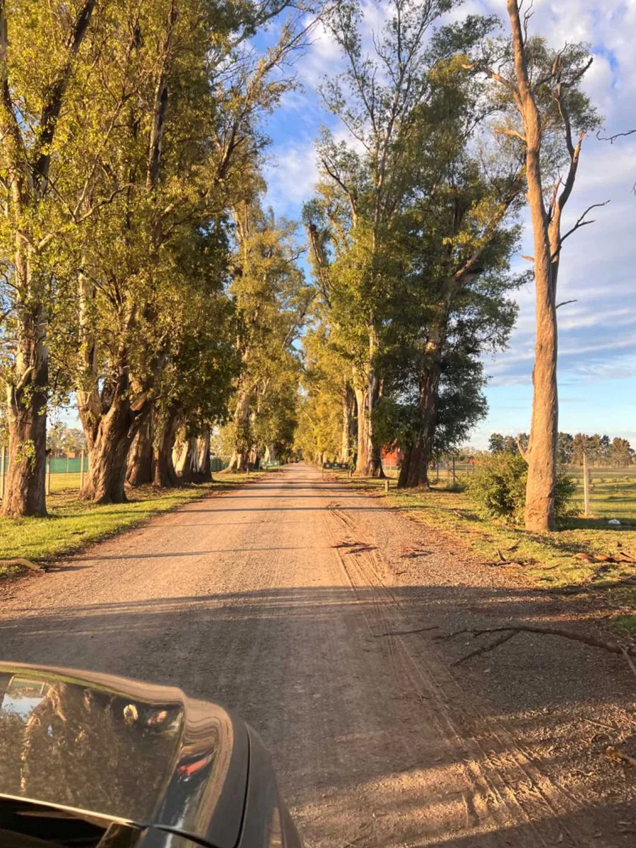 VENTA LOTE CLUB DE CAMPO LOS TRES PINOS foto 3