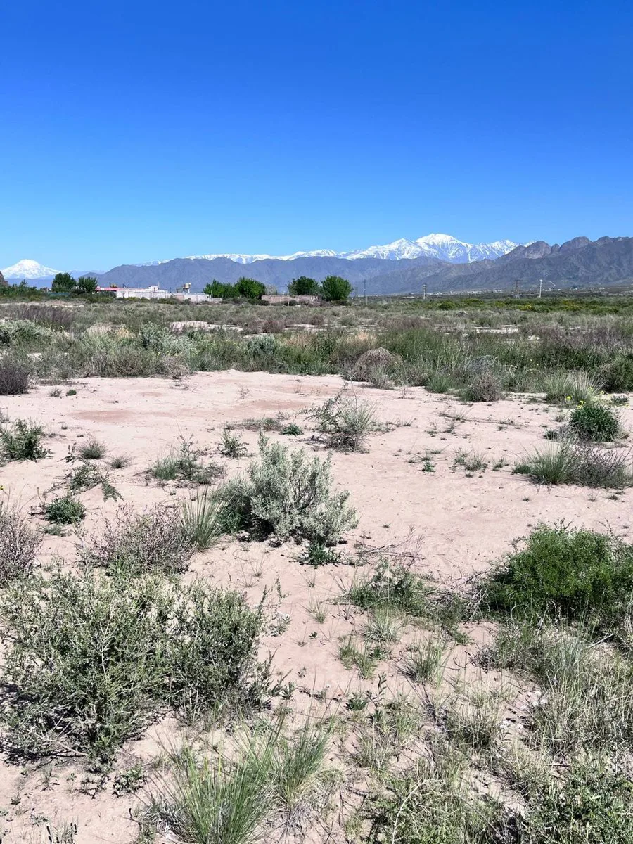 VENTA TERRENO Ruta Provincial 82 y Saenz Peña foto 2