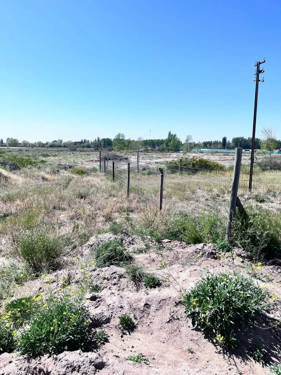 VENTA TERRENO Ruta Provincial 82 y Saenz Peña foto 4