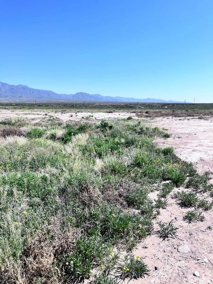 VENTA TERRENO Ruta Provincial 82 y Saenz Peña foto 5