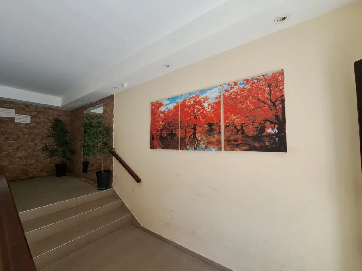 VENTA DE DEPARTAMENTO EN SAN BERNARDO foto 5