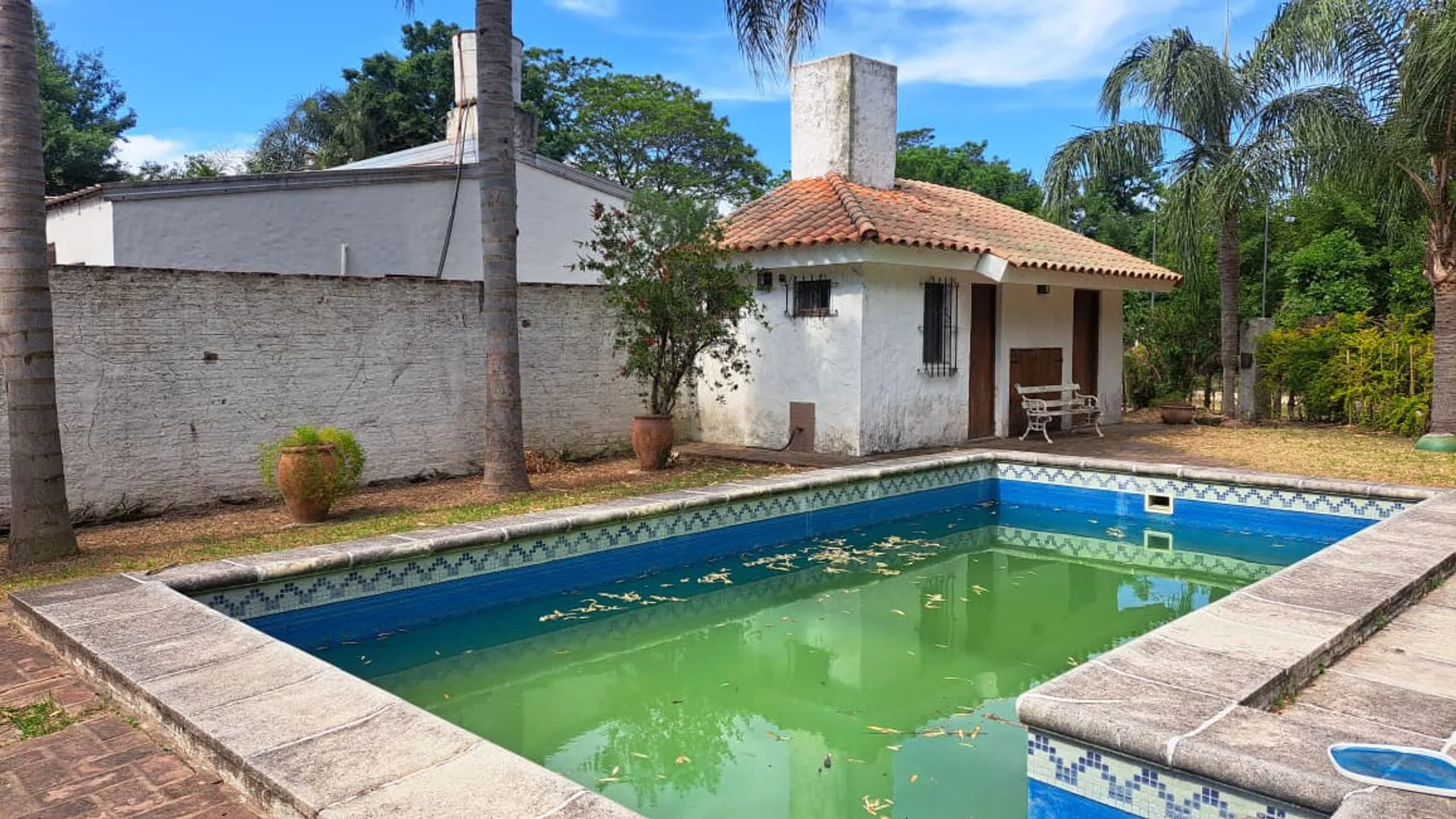 Venta Casa con gran terreno Ruta 1 Km 7 foto 4