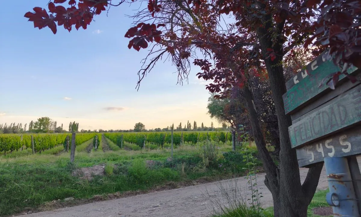 Venta de lote Vistalba, Lujan de Cuyo foto 4