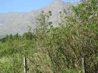 LOTE EN VENTA EN LA POBLACIÓN TRASLASIERRA foto 4