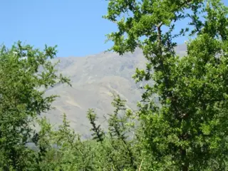 LOTE EN VENTA EN LA POBLACIÓN TRASLASIERRA foto 5
