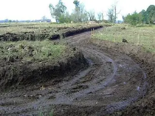 CAMPOS DE VICTORIA CANNING! ULTIMOS 2 LOTES. foto 3