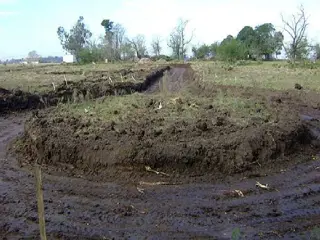 CAMPOS DE VICTORIA CANNING! ULTIMOS 2 LOTES. foto 4