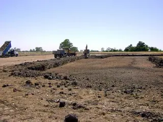 CAMPOS DE VICTORIA CANNING! ULTIMOS 2 LOTES. foto 5