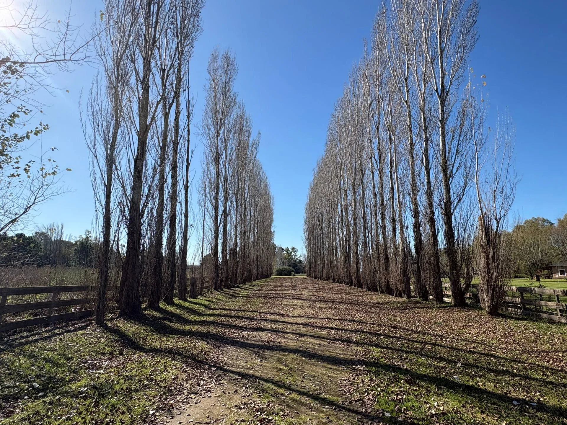 Venta casa con pileta lote 1,25 hectareas foto 2