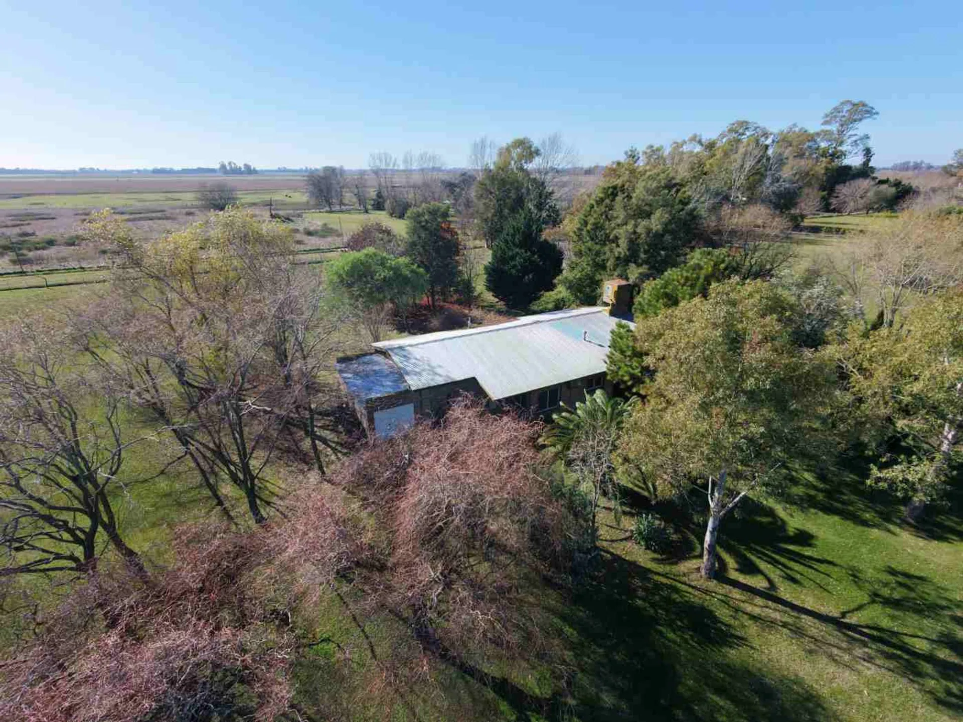 Venta casa con pileta lote 1,25 hectareas foto 5