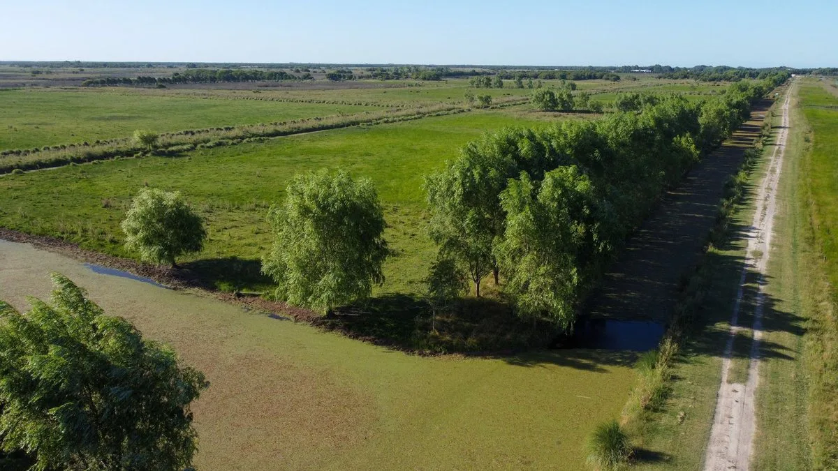 VENTA LOTE COMERCIAL LA MANSA GENERAL MADARIAGA foto 2