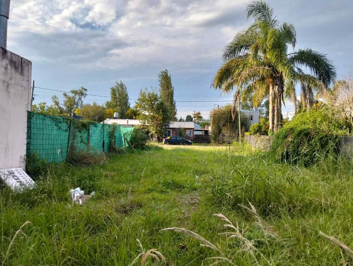 VENTA LOTE EN ROLDAN, AO12 Y RUTA 9 , DON QUIJOTE foto 5