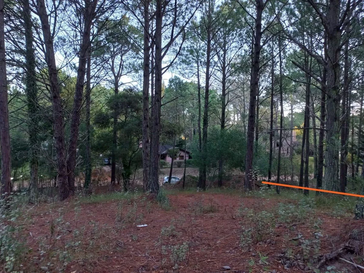 Lote en Venta Zona Residencial Cariló foto 2