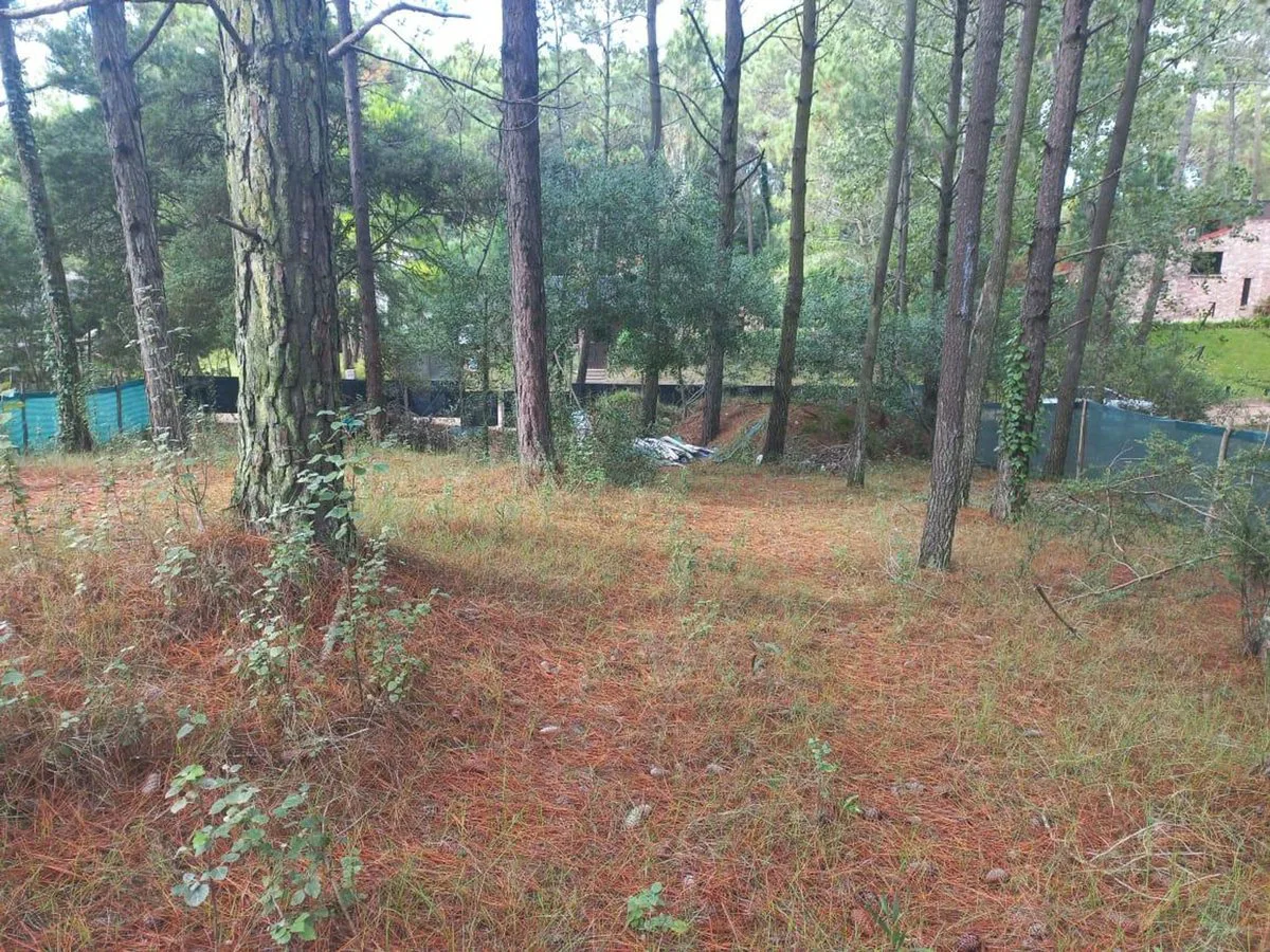 Lote en Venta Zona Residencial Cariló foto 5