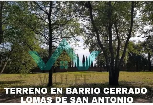 LOTE DE LOMA DE SAN ANTONIO