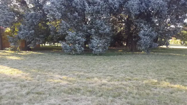 (VENTA 80) Paseo 5 estrellas - Las Lomas - Miramar. Terreno en Venta.