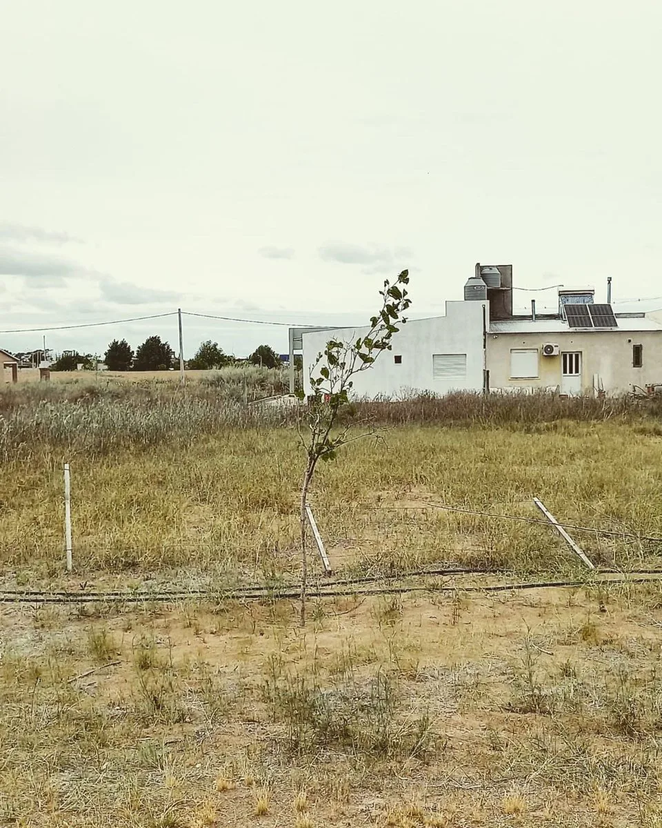 Lote Altos del Este