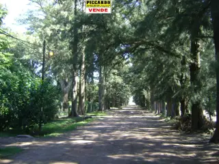 Lote Terreno en venta B El Casco Gral. Rodriguez Piccardo. foto 2