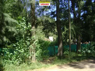 Lote Terreno en venta B El Casco Gral. Rodriguez Piccardo. foto 3