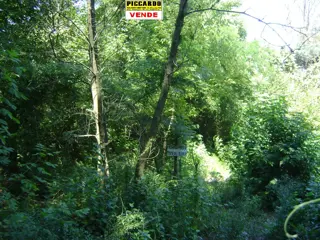 Lote Terreno en venta B El Casco Gral. Rodriguez Piccardo. foto 4