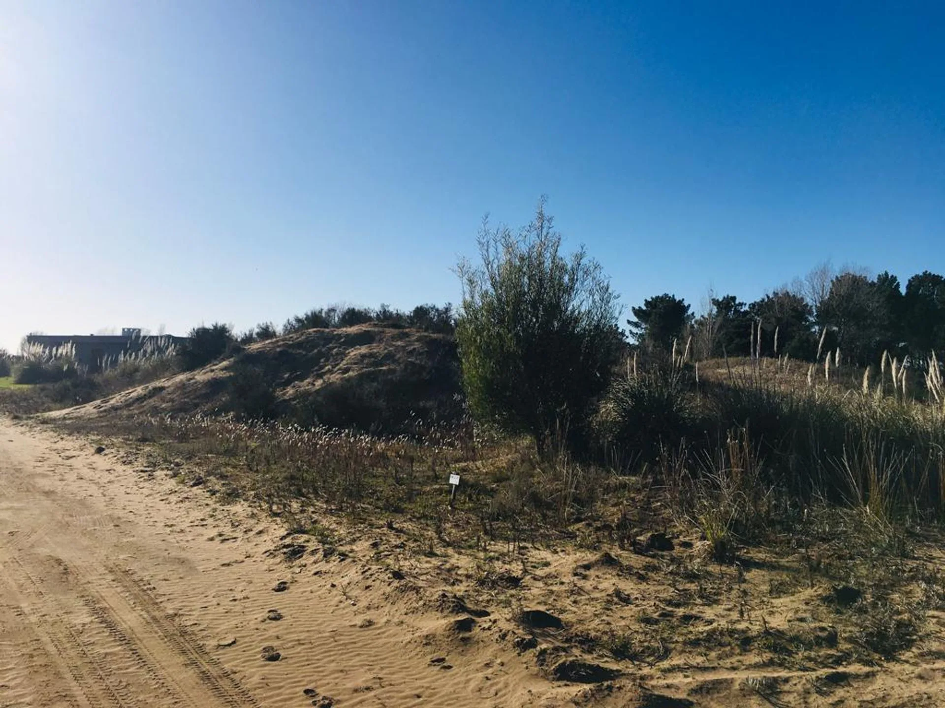 VENTA DE LOTE EN VILLA GESELL- BARRIO EL SALVAJE foto 2
