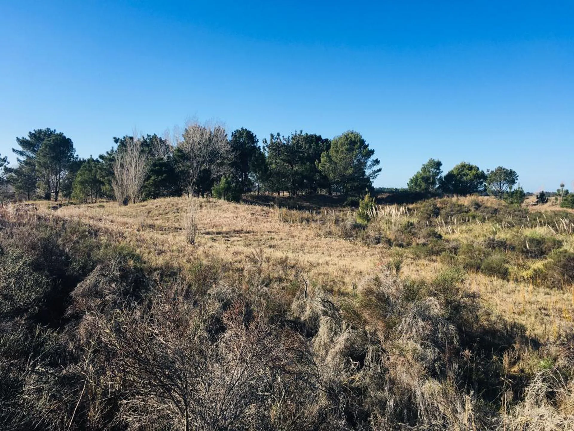 VENTA DE LOTE EN VILLA GESELL- BARRIO EL SALVAJE foto 3
