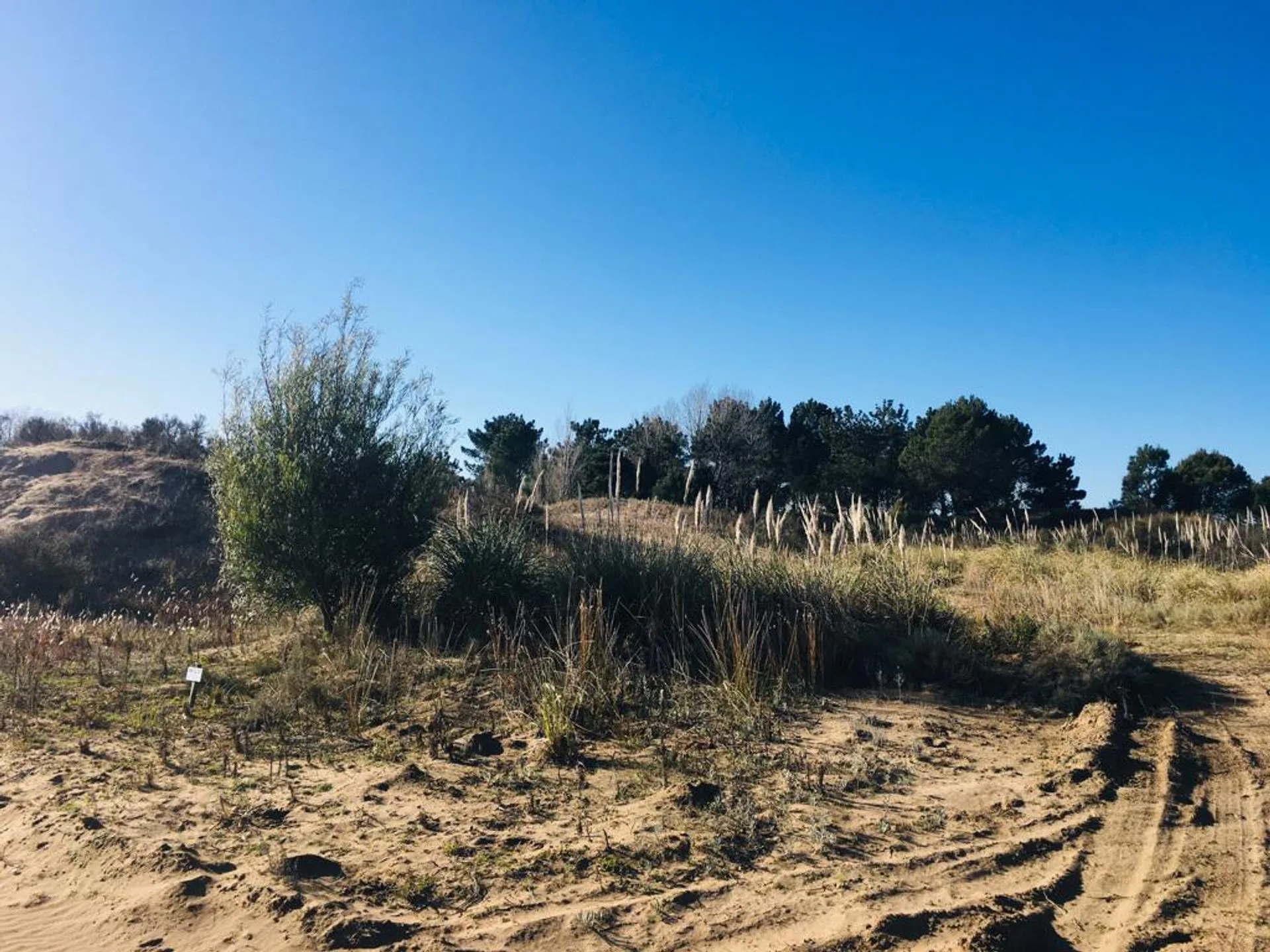 VENTA DE LOTE EN VILLA GESELL- BARRIO EL SALVAJE foto 4