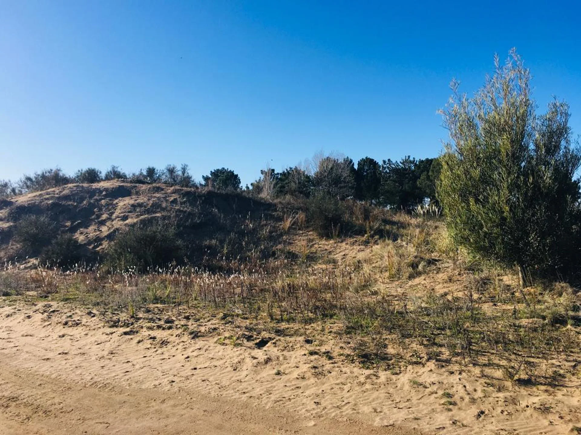 VENTA DE LOTE EN VILLA GESELL- BARRIO EL SALVAJE foto 5