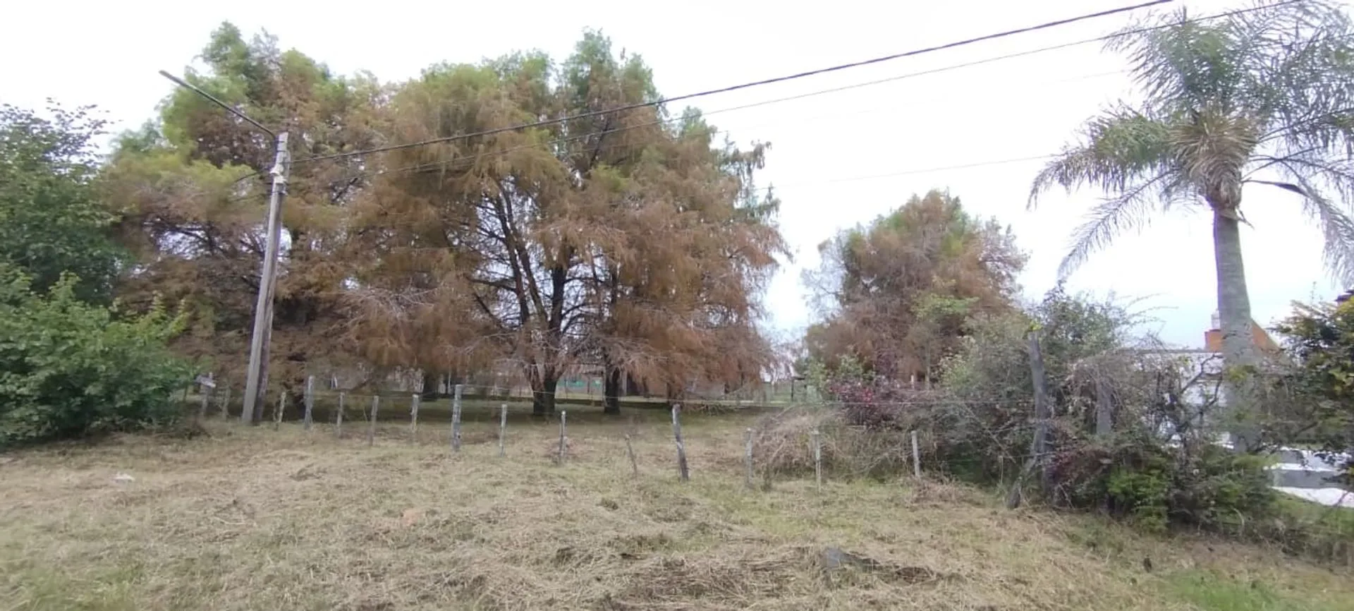 REMAX VENDE LOTE EN RINCON foto 5