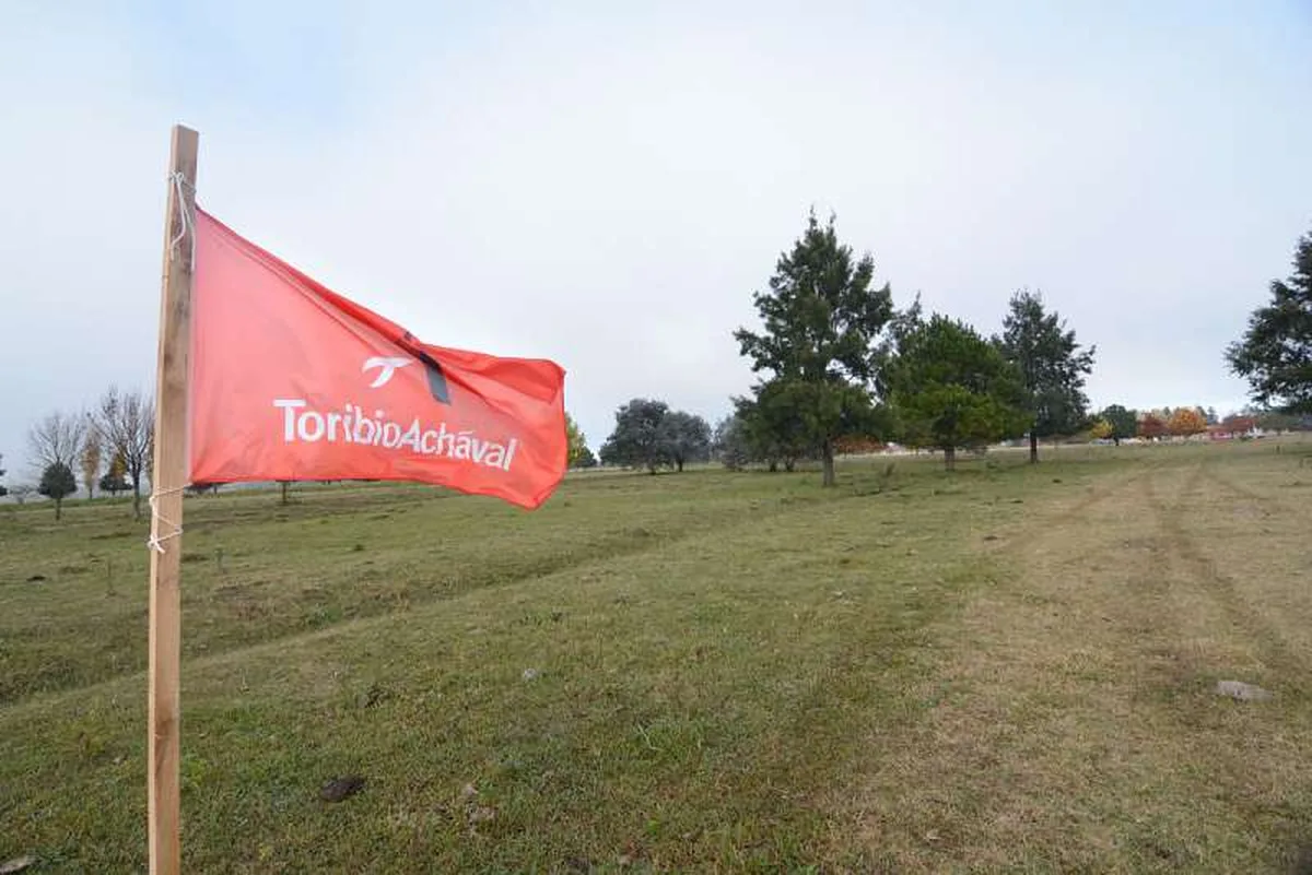 Km 185, Autovia 6 - Lote: 259 foto 5
