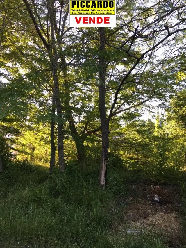 DOS LOTES TERRENOS EN VENTA Bº PARQUE JOLY REF.1331 GRAL. RODRIGUEZ PICCARDO