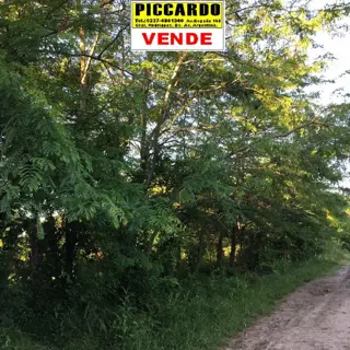 DOS LOTES TERRENOS EN VENTA Bº PARQUE JOLY REF.1331 GRAL. RODRIGUEZ PICCARDO foto 4