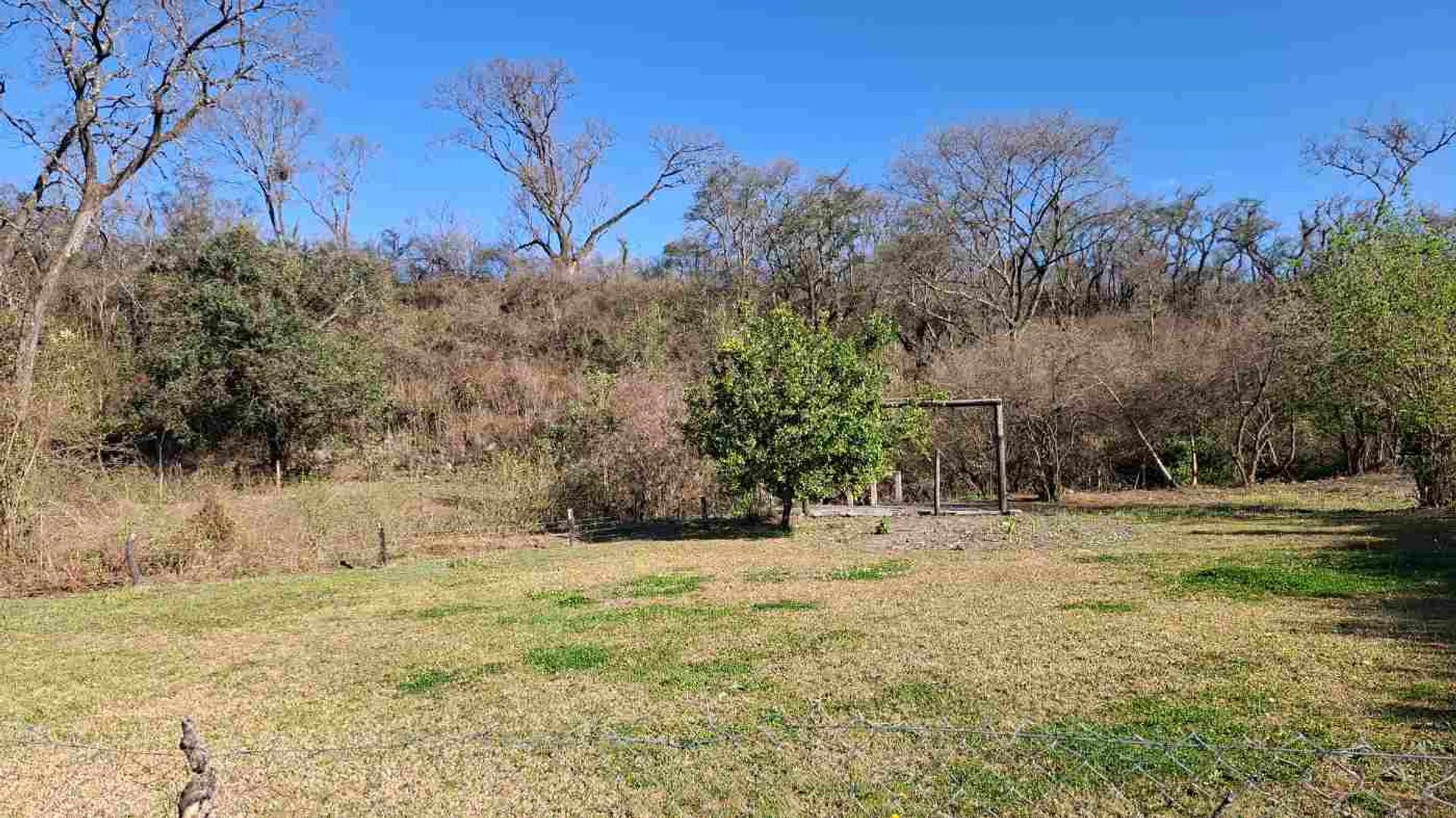Venta terreno Castellanos Ruta 28 foto 4