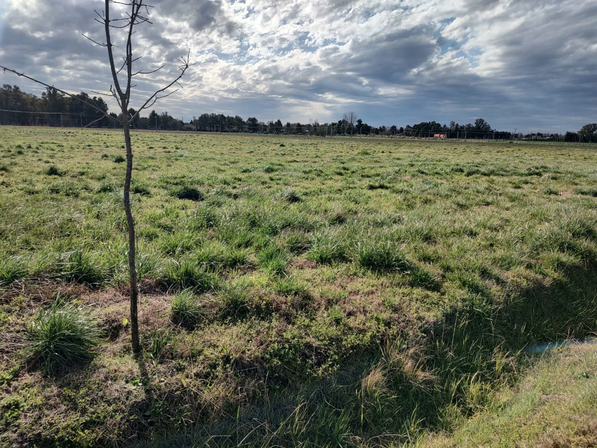 VENTA LOTE 2461m2 EN LOBOS BARRIO DON FELIPE foto 4