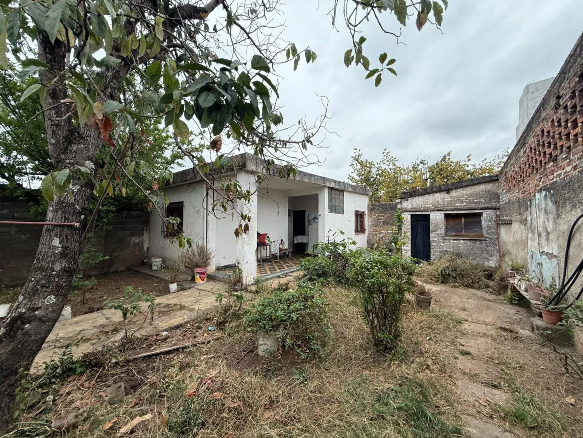 VENTA 2 CASAS EN CIUDAD DE NIEVA 400 M² foto 5