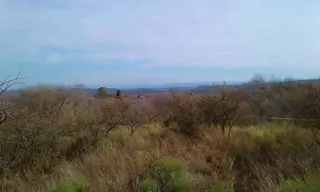 GRAN LOTE EN VENTA - MOLINARI foto 2