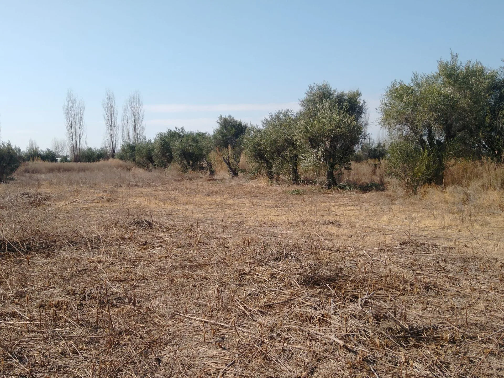 Lote en Venta Guaymallen foto 3