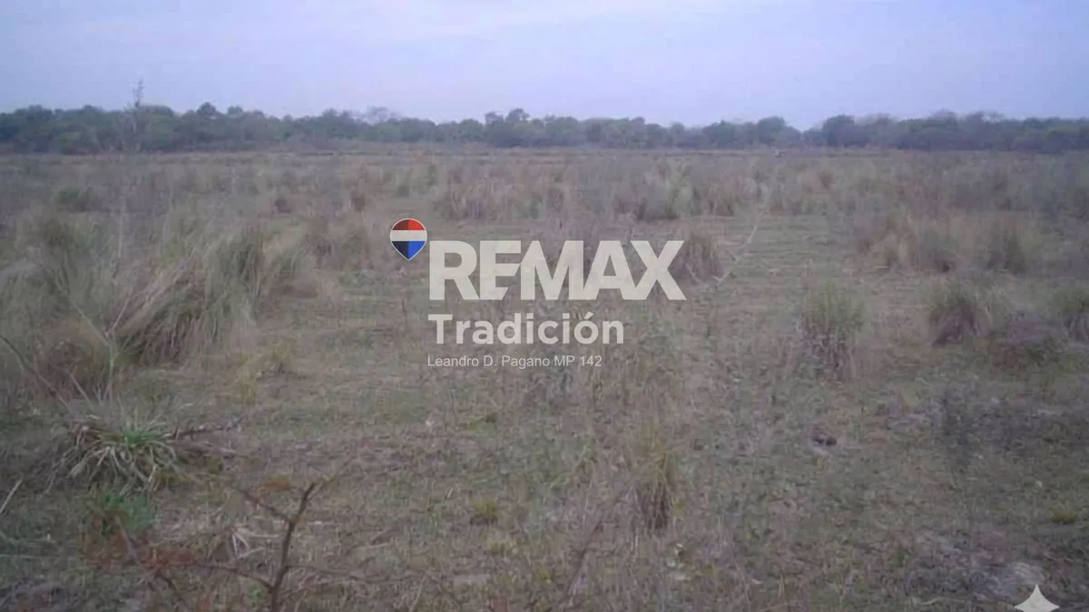 Campo 60 Has. en Venta en Dep. Bermejo, Chaco Gana foto 3