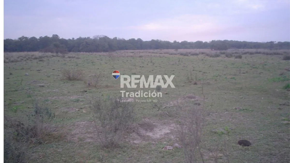 Campo 60 Has. en Venta en Dep. Bermejo, Chaco Gana foto 4