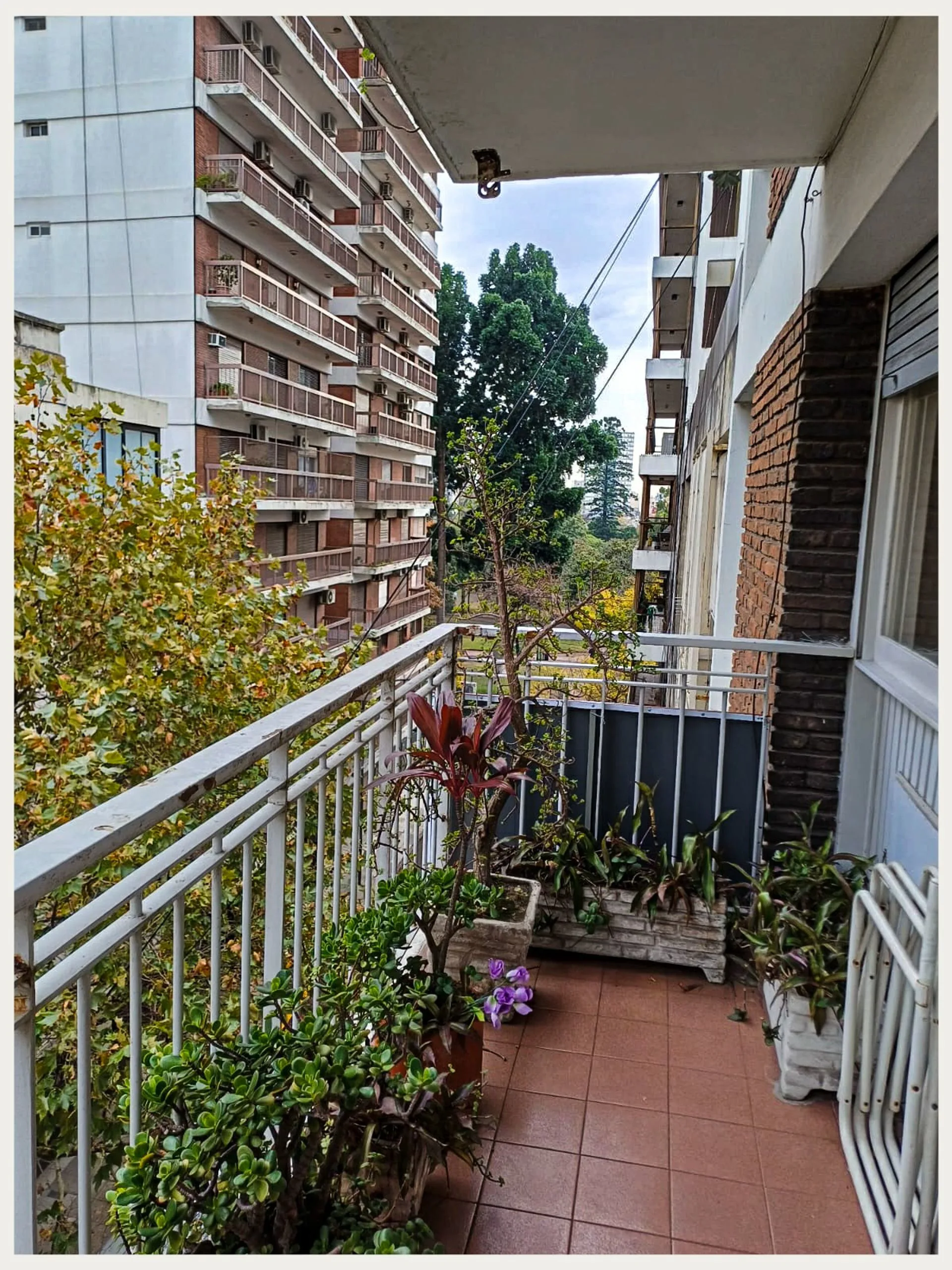 3 amb c/cochera, baulera y dependencia. Caballito foto 3