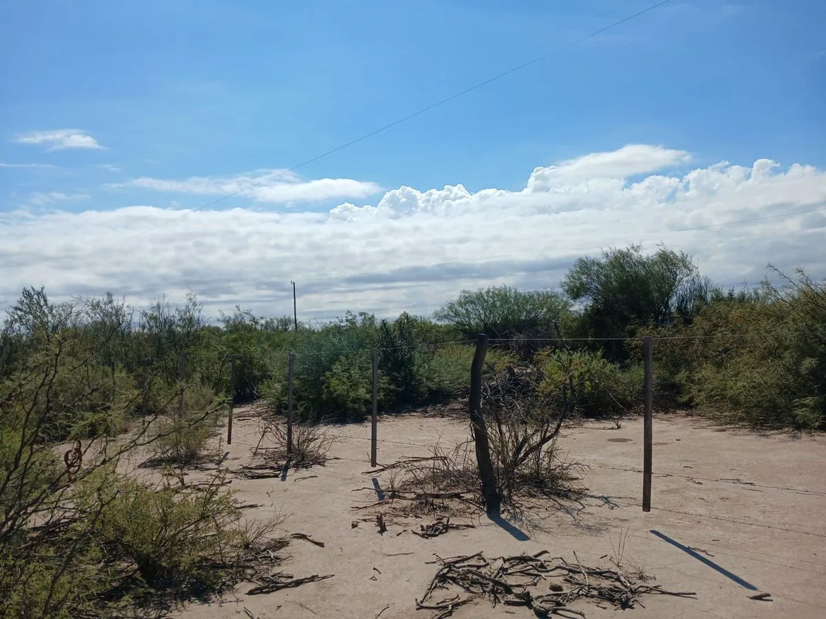 VENTA TERRENO 10 HECTARIAS LAVALLE foto 4