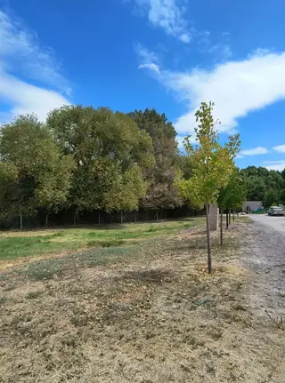 TERRENO EN VENTA EN BARRIO PRIVADO LA HORQUILLA foto 4