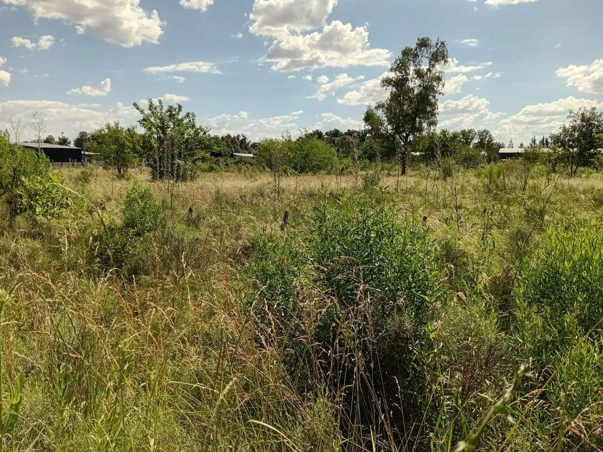 VENTA LOTE 5.000M2 EN GRAL. RODRIGUEZ RUTA 24 foto 2