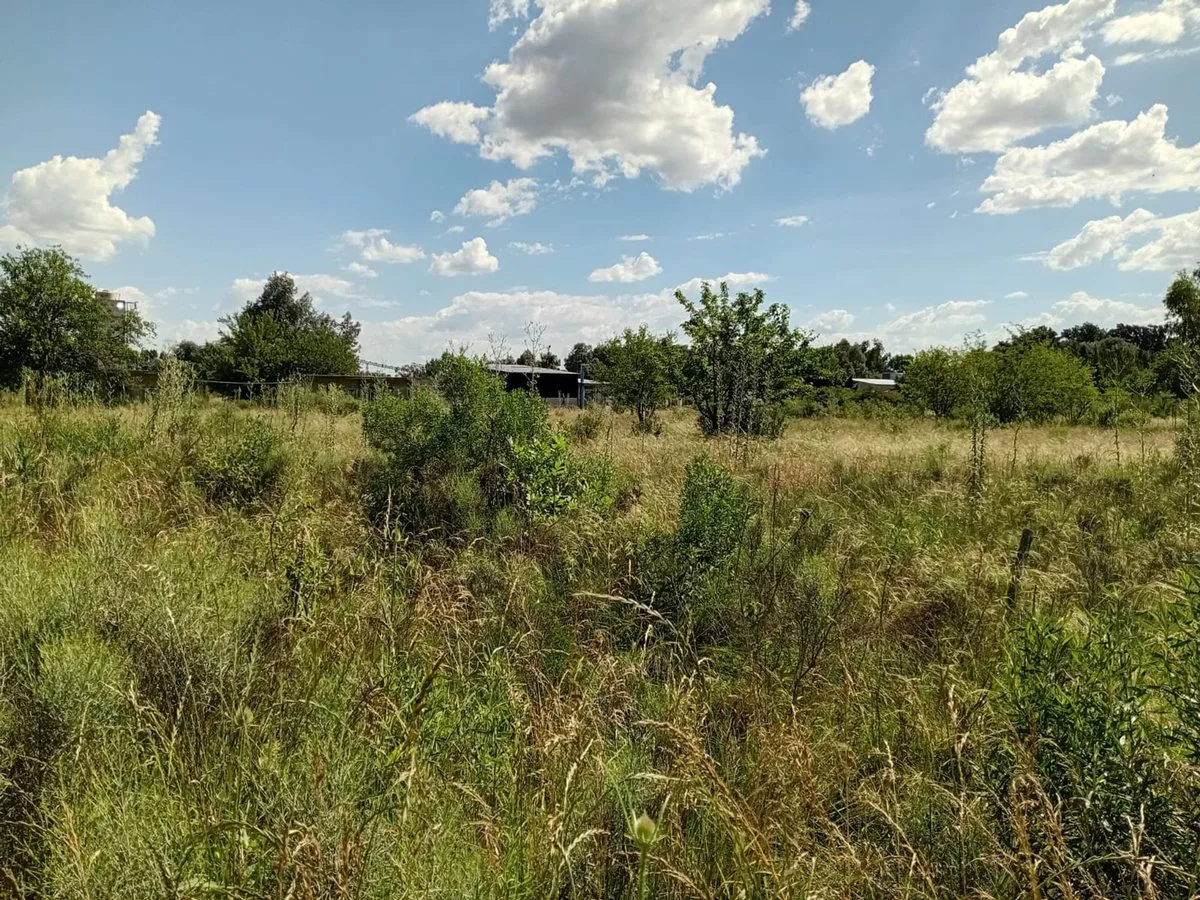 VENTA LOTE 5.000M2 EN GRAL. RODRIGUEZ RUTA 24 foto 4